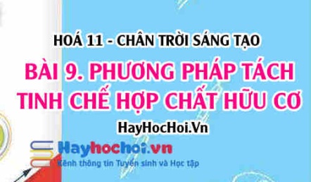 Phương pháp tách và tinh chế hợp chất hữu cơ? Hoá 11 chân trời bài 9
